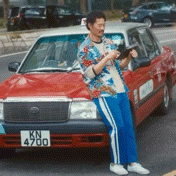 Tiger Mirror GIF by ViuTV