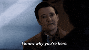 Talking Season 1 GIF by NEXT on FOX