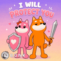 Crypto Love GIF by BONK