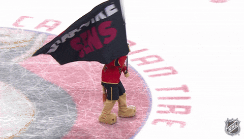 Happy Ottawa Senators GIF by NHL