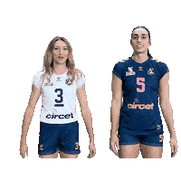 Celebration Point Sticker by Neptunes_VolleyBall