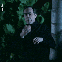 au service de la france asf2 GIF by ARTE