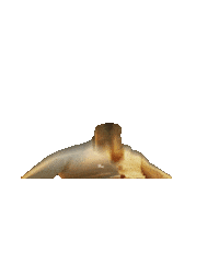 Mood Deva Sticker by Zee Studios