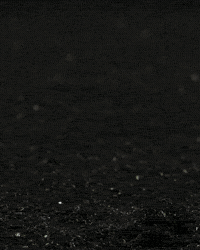 Vitalinsemgluten GIF by Vitalin