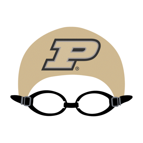 Pool Swimming Sticker by Purdue University