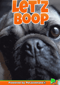 PetJuvenate petjuvenate henlo hooman fren love rescue dogs treatos and woofer for pupper GIF