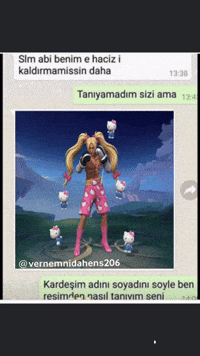 Vernemnidahens206 GIF