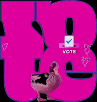 transgreaser pink vote election duck GIF