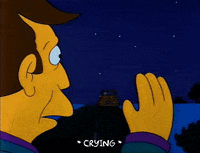 Season 2 GIF by The Simpsons