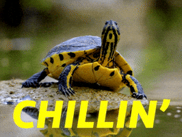 Chilling Chill Out GIF by Sealed With A GIF