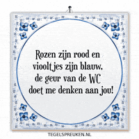 Humor Nl GIF by Tegelspreuken.nl