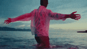 Summer Of Love GIF by Shawn Mendes