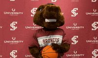 Santa Clara University Go Broncos GIF by Santa Clara Broncos