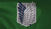 Attack On Titan Levi Ackerman GIF