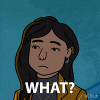 Bojack Horseman GIF by NETFLIX