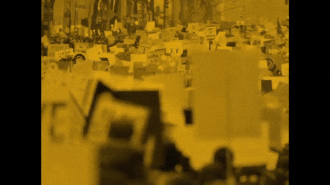 norah jones flipside GIF by aficia 