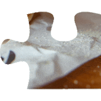 Puzzle Sticker by Eatpickl