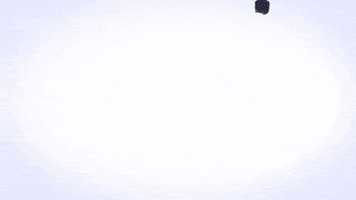 Diversification GIF