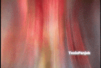 Shreyas Iyer Ipl GIF