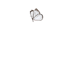 VREDITORAS amor vera botonderecho vreditoras Sticker