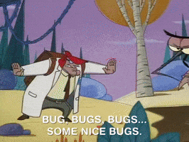 nickrewind nicksplat angry beavers GIF