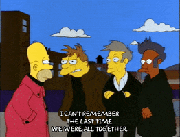 homer simpson GIF