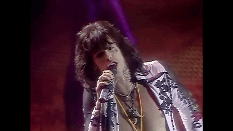 Steven Tyler 1980S GIF by Aerosmith