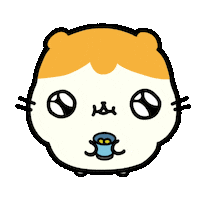 No Money Beg Sticker