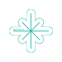 Star Snowflake Sticker by Nektar Torréfacteur / Coffee Roasters