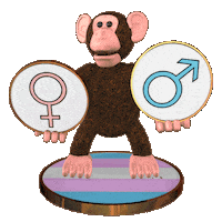 Male Or Female Lgbt Sticker