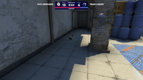 GIF by BLAST