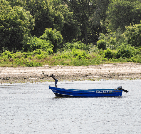 danijelmihajlovic giphyupload GIF