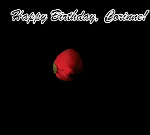cambaby2 giphygifmaker GIF