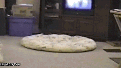 circle GIF by Cheezburger