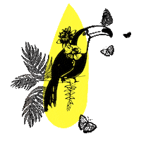 Mono Misiones Sticker