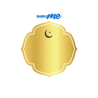 Happy Shopping Sticker by SHIELDme