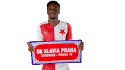 Football Home Sticker by SK Slavia Praha
