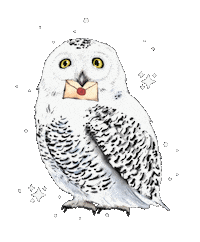 Harry Potter Magic Sticker