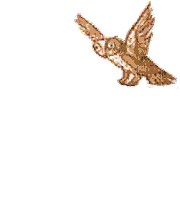 harry potter owl Sticker