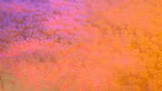 3d satisfying GIF by somenerv