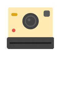 Polaroid Lu Sticker by Liberty University