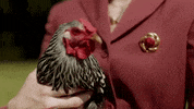Fashion 90S GIF by Mattiel