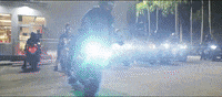 iamannmarie ann marie throw it back GIF