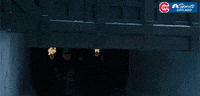 game of thrones mlb GIF by NBC Sports Chicago