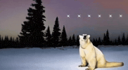 Polar Bear Singing GIF
