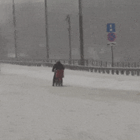 Курьер Dostavka GIF