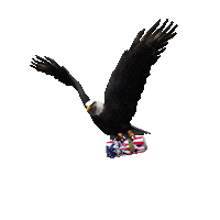 usa america Sticker by RIPITEnergy