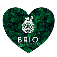 Love Mate Sticker by Brio Maté