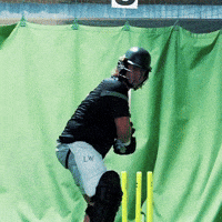 Big Hit Cricket GIF by Luke Westen