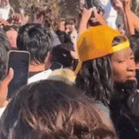 Kings Court Steph GIF by XOXO Virgin Hair